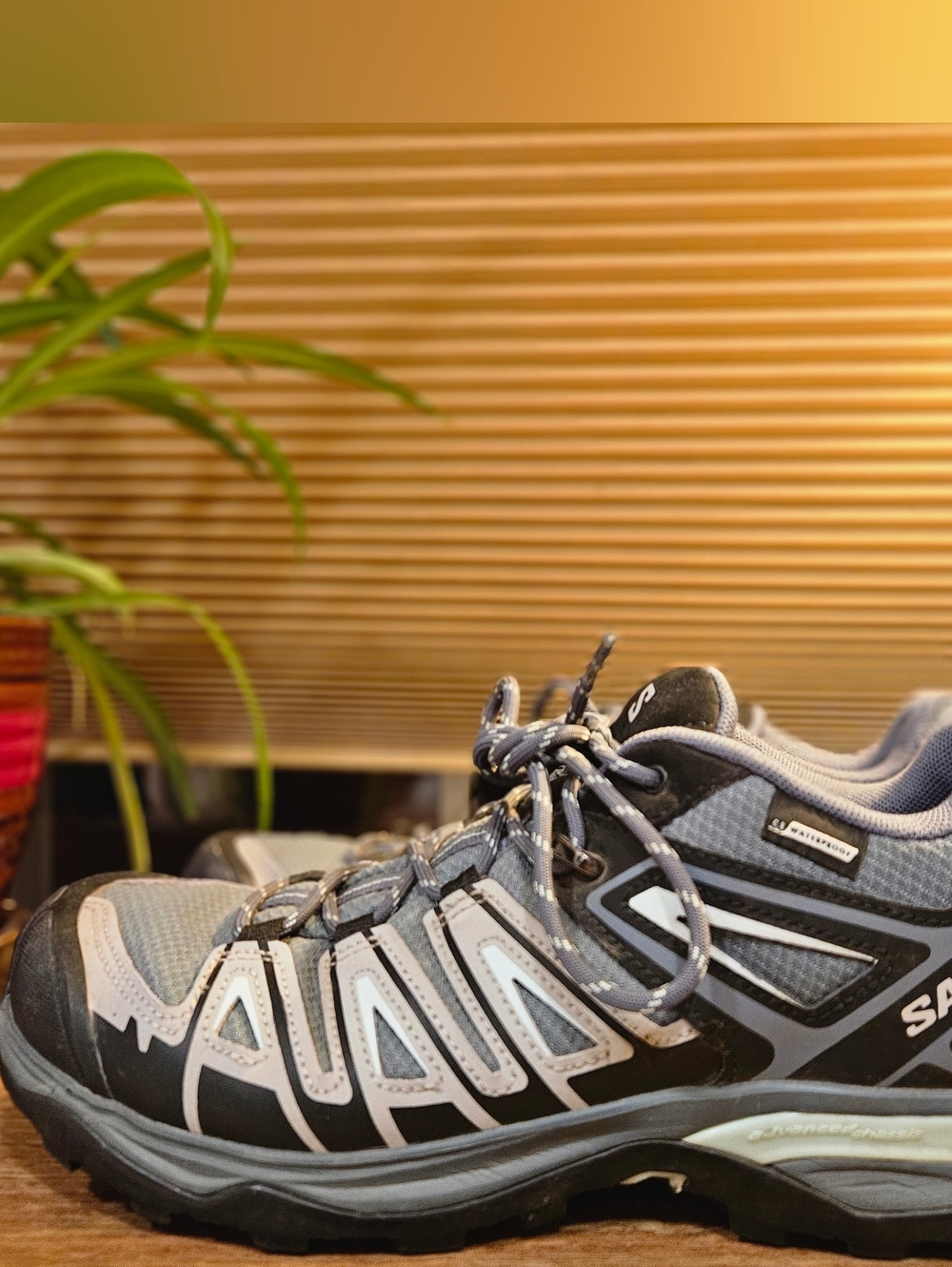 Salomon X Ultra Pioneer GTX Stormy